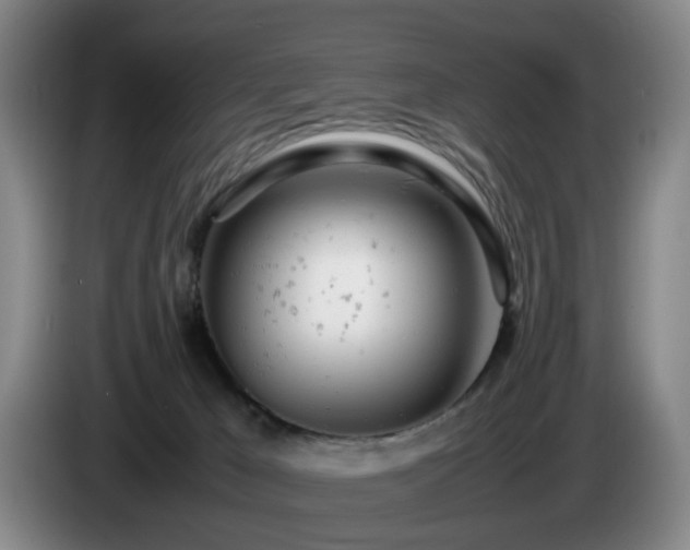 X0000085210029200703091148