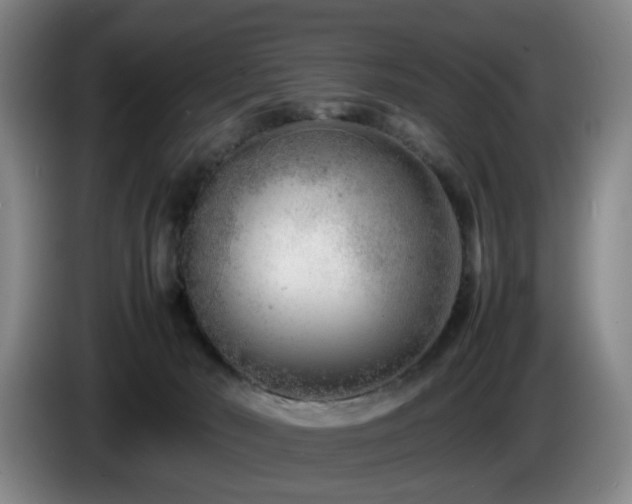 X0000085210030200703091148