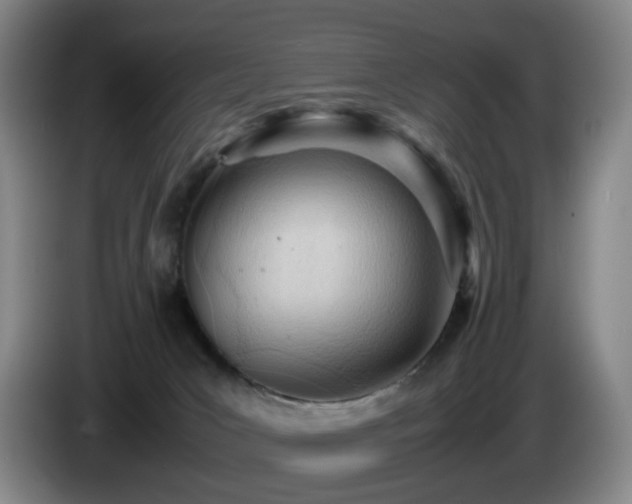 X0000085210031200703091148
