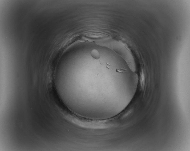 X0000085210032200703091148