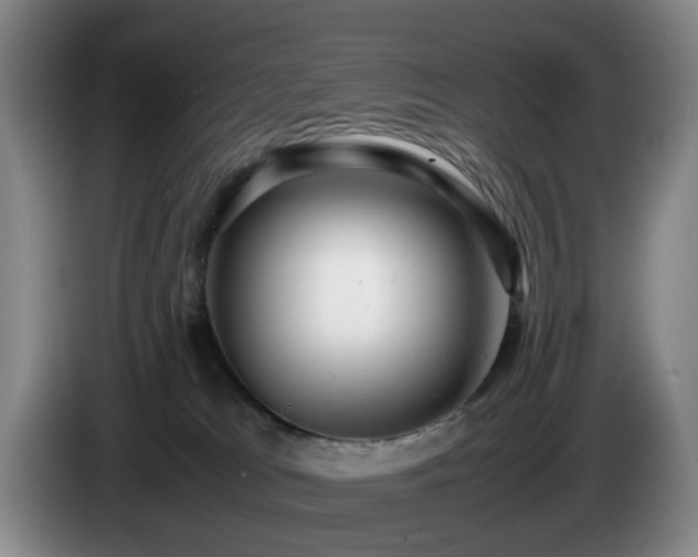 X0000085210037200703091148