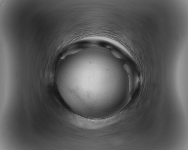 X0000085210039200703091148