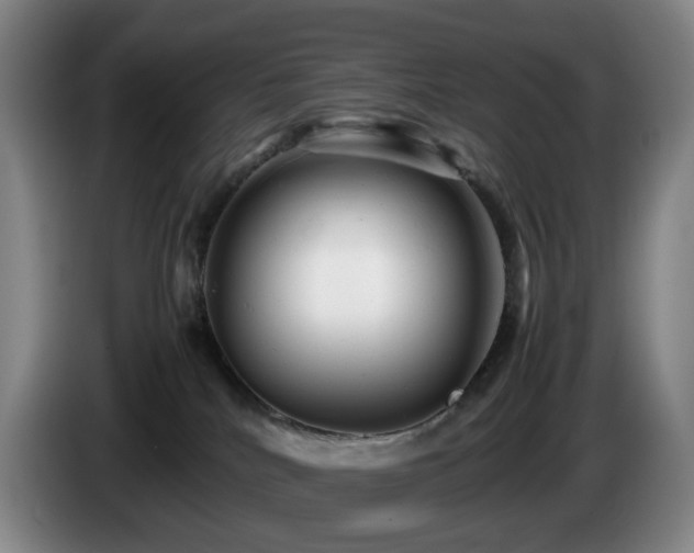 X0000085210040200703091148