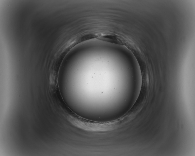 X0000085210044200703091148