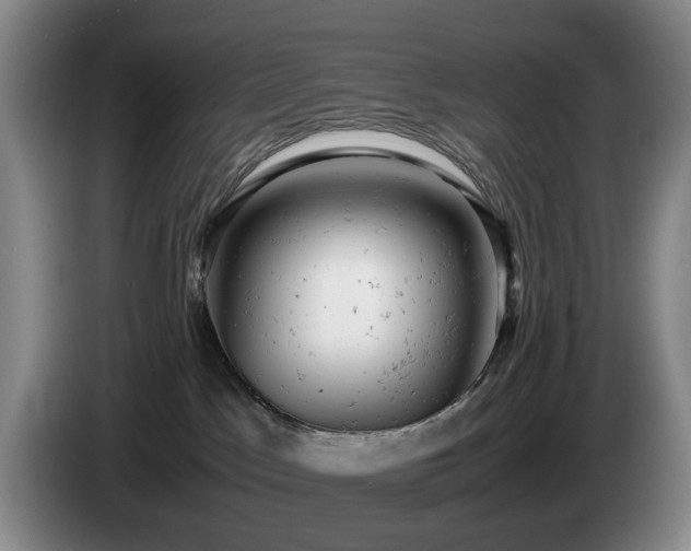 X0000085210045200703091148