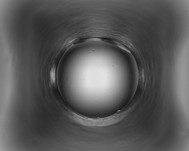 X0000085210046200703091148