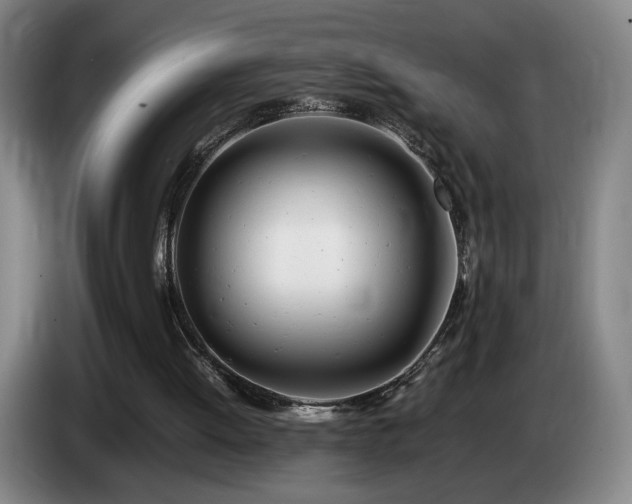 X0000085210052200703091147