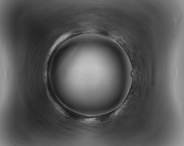 X0000085210054200703091147