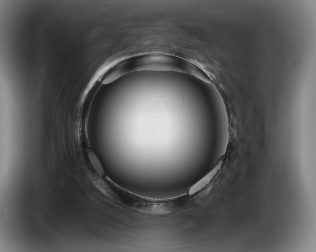 X0000085210056200703091147
