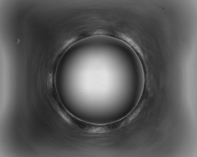 X0000085210057200703091147