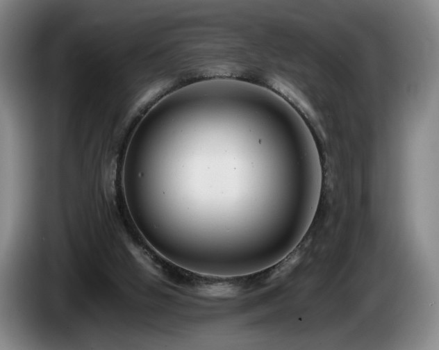 X0000085210058200703091147