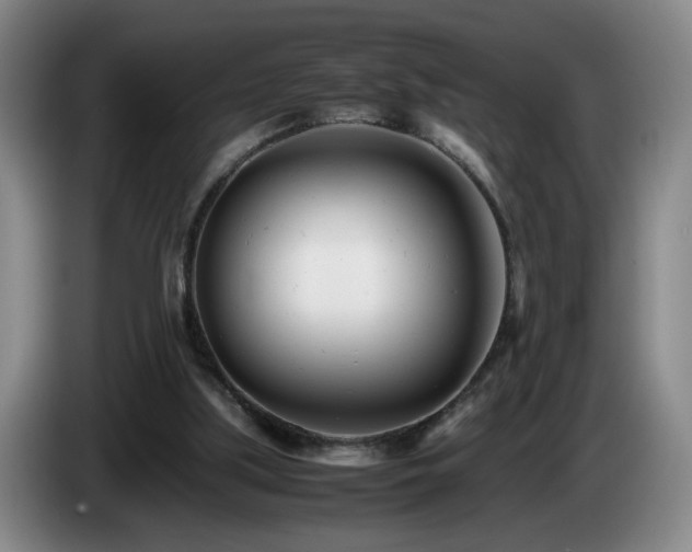 X0000085210059200703091147