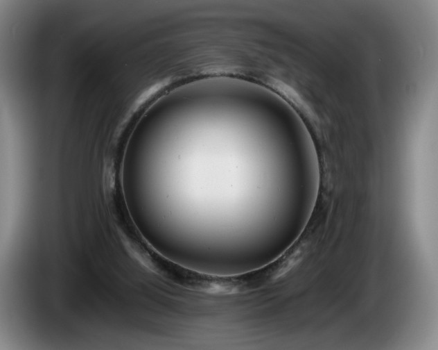 X0000085210060200703091147