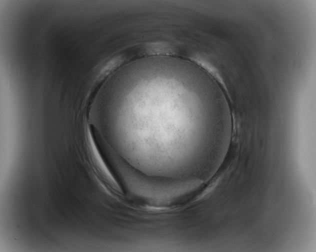 X0000085210061200703091147