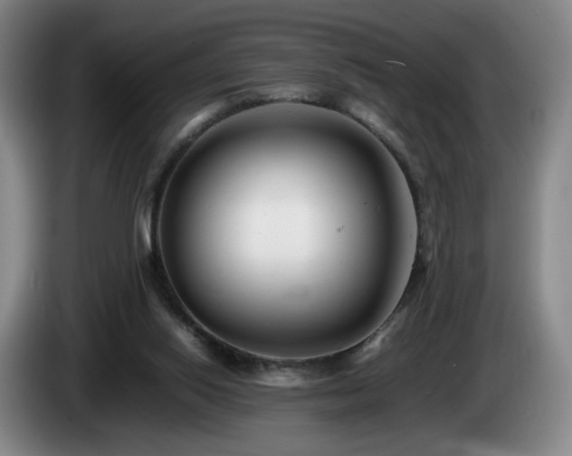 X0000085210062200703091147
