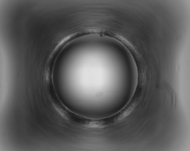X0000085210064200703091147