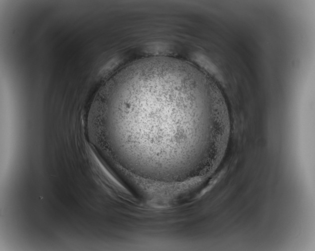 X0000085210065200703091147