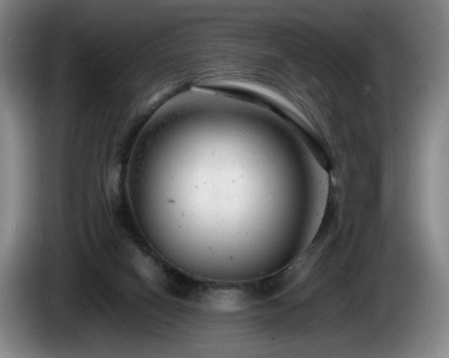 X0000085210066200703091147