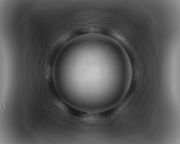 X0000085210077200703091147