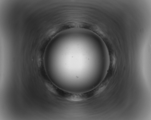X0000085210080200703091148