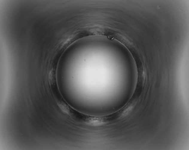 X0000085210088200703091148