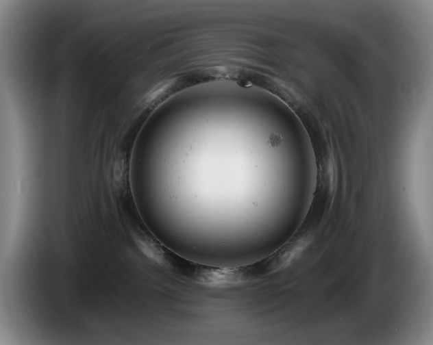 X0000085210092200703091148