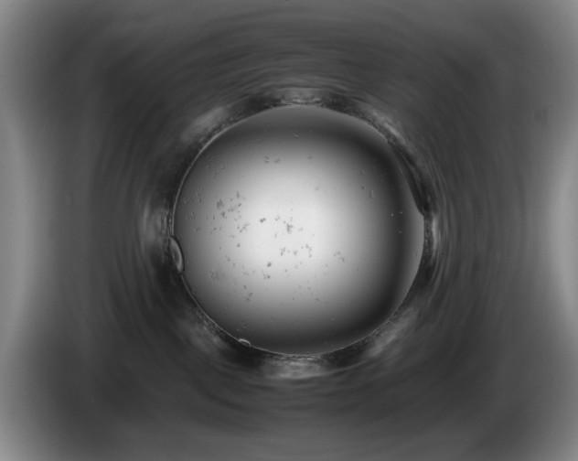 X0000085210093200703091148