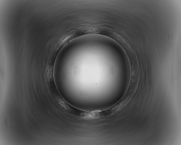 X0000085210096200703091148