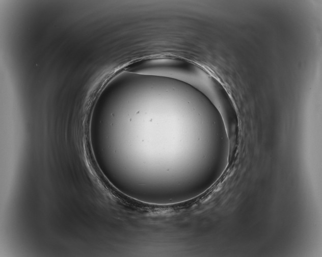 X0000085210097200703091147