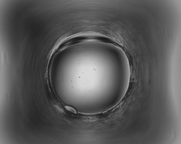 X0000085210099200703091147