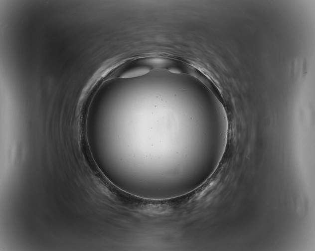 X0000085210101200703091147