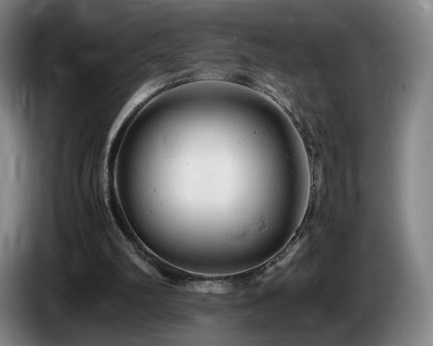 X0000085210102200703091147