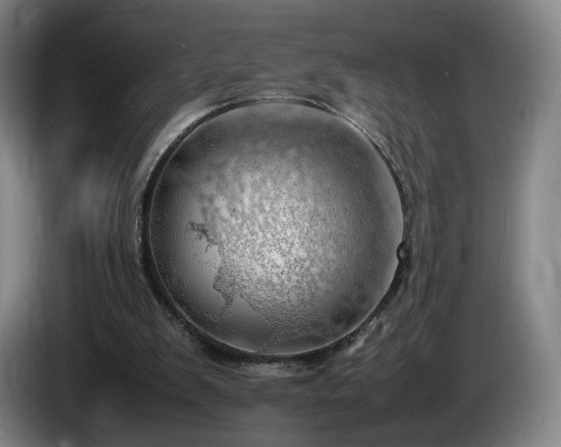 X0000085210103200703091147