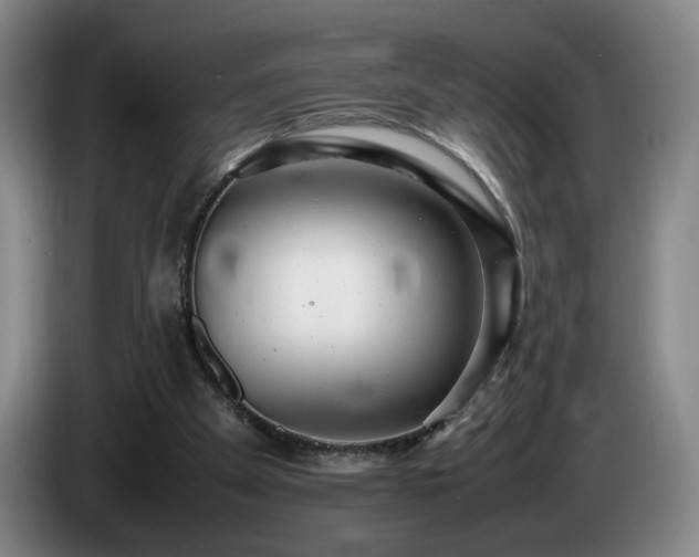 X0000085210105200703091147