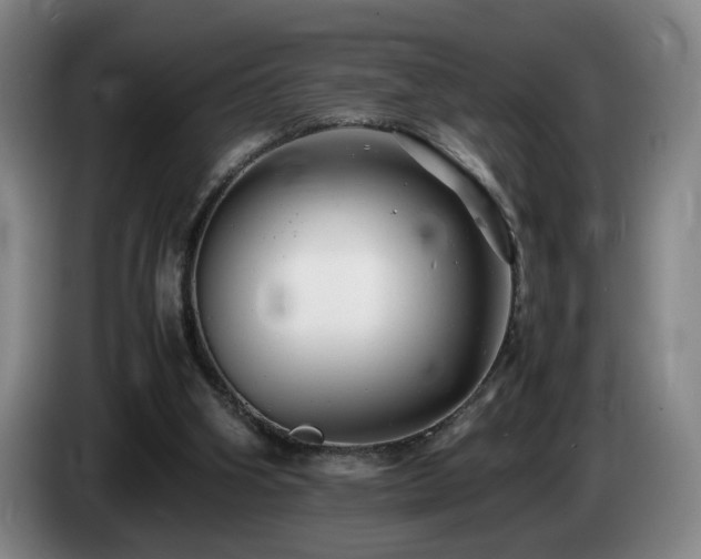 X0000085210106200703091147