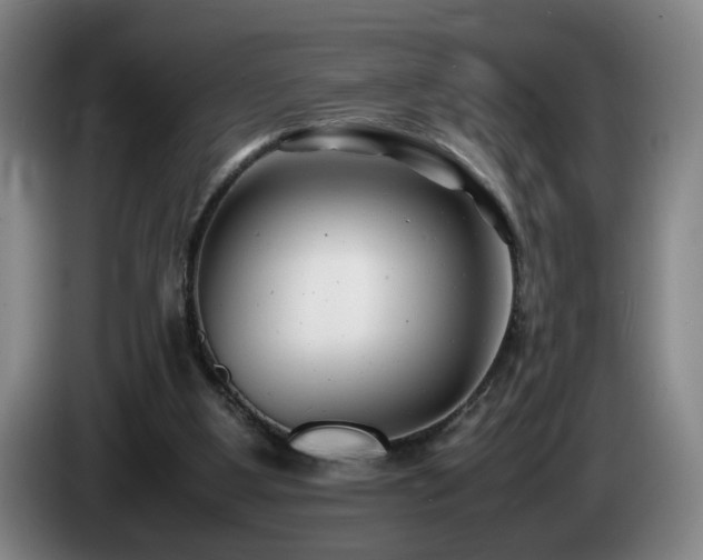 X0000085210107200703091147