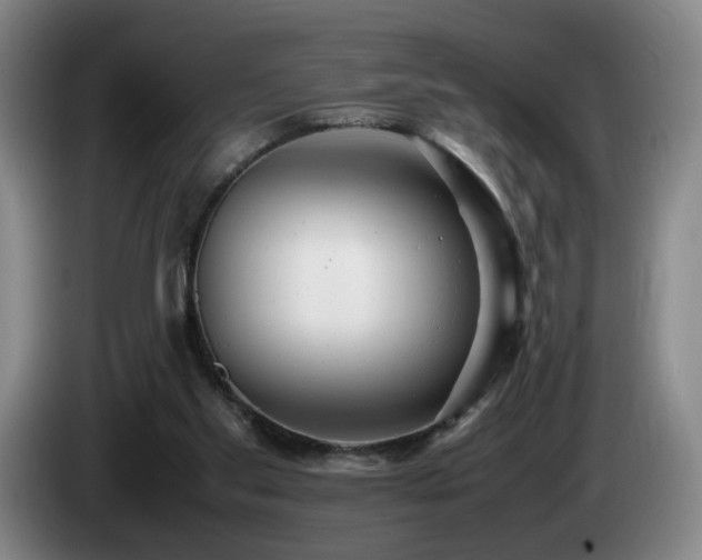 X0000085210109200703091147