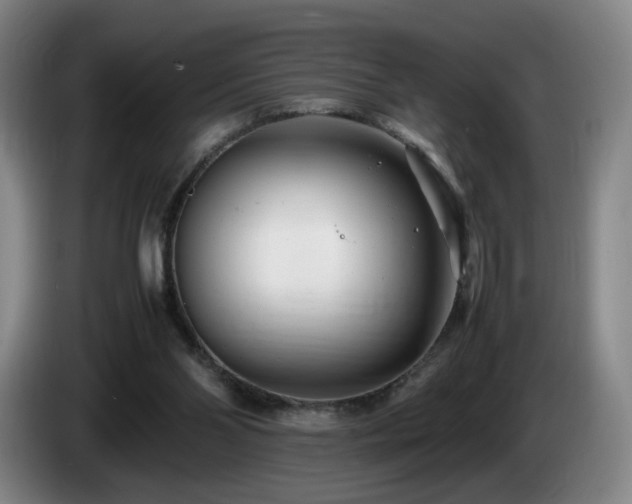 X0000085210110200703091147