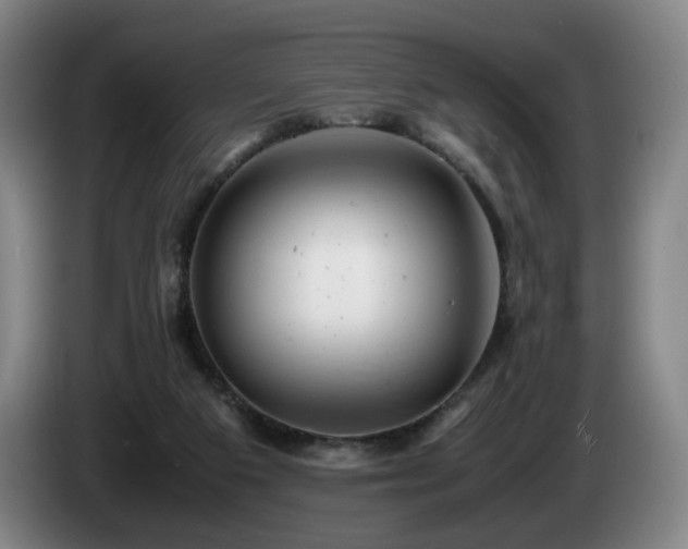X0000085210113200703091147