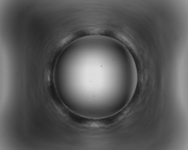 X0000085210115200703091147