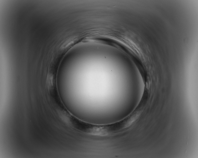 X0000085210117200703091147
