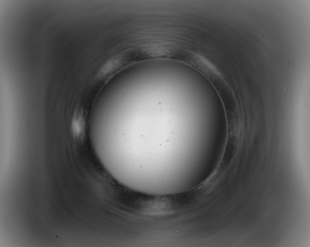 X0000085210124200703091147