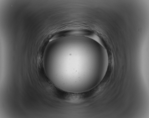 X0000085210127200703091147