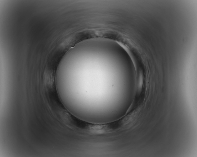 X0000085210129200703091147