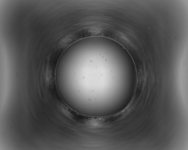 X0000085210136200703091147
