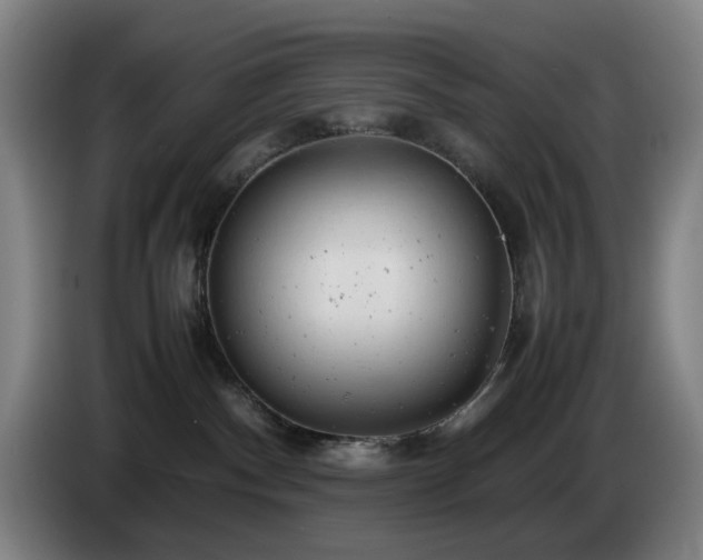 X0000085210140200703091147