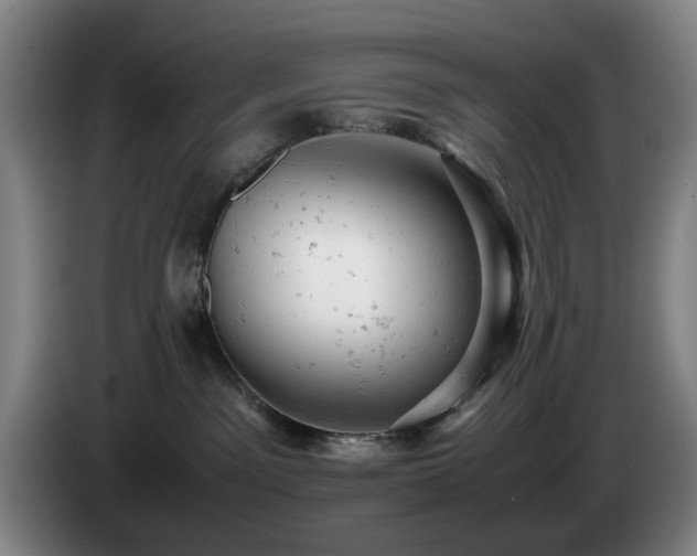 X0000085210141200703091146