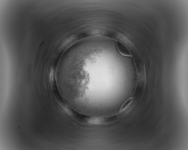 X0000085210142200703091146