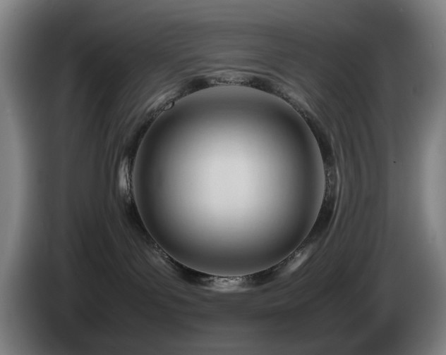 X0000085210143200703091146