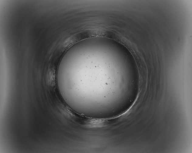 X0000085210144200703091146